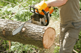 Residential Tree Trimming Service in Nixa, MO: Why It Matters for Your Property